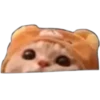 Cat expressions 10
