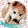 Perritos tiernos 16