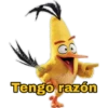 Angry birds 13