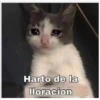 Harto de la
Iloracion