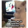 coquete
A juguito de tu
aparato
reproductor uwu