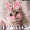 OESme 9
RTÚ toda sabROSa!
