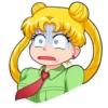 Sailor Moon 13