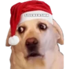 STICKERSMN