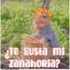 Te gusta mi
zanahORia?
ESmeo