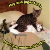 Hay que jugar Uno,
sopaipassposting
pero uno encima del otro