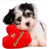 Corazonsito 15