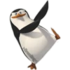 Los pingüinos 12