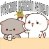 Mochis Cat Expressions 17