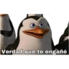 Los pingüinos 14