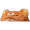 Cat expressions 13