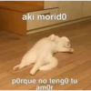 aki morido
porque no teng0 tu
amor