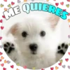 Perritos tiernos 20