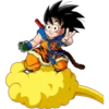 Dragon Ball 15