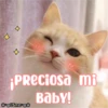 ¡PRECiosa mi
BabY!
ESmeo
