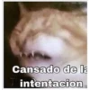 Cansado de la
intentacion