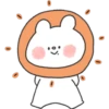 Ositos bonitos 18