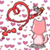 PAREJA DE GATOS 19