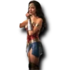 Mujer Maravilla 14