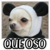 QUE SAD 14