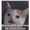 Pero por dentro
la moricion