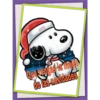 vony
de las-navidades