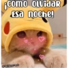 Como OLvidar
ESa noche!
ESmeoe