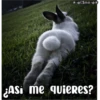 ESme v
¿ASi me quieres?
