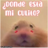 ¿Donde esta
mi CULito?