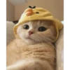 Uwu kittens 3 19