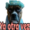 Los Perritos dicen 22