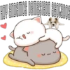 Mochis Cat Expressions 21