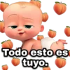 Todo esto es tuyo.