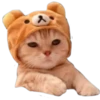 入