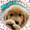 Perritos tiernos 22