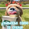 O DESme oe
ChaboCho como
TU COSita!