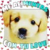 Perritos tiernos 24