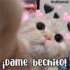 ESmeo
¡Dame bechito!