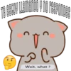 Mochis Cat Expressions 23