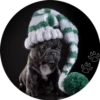 Sweet Dogs 27