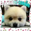 Perritos tiernos 26
