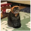 土
志方参き