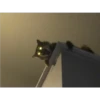 Uwu kittens 3 21