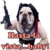 Los Perritos dicen 26