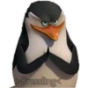 Los pingüinos 20