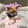 Viendo tUS
nudes!
ESmeo