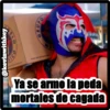 peluche en el estuche y más 26