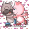 PAREJA DE GATOS 24