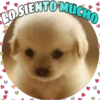 Perritos tiernos 27
