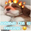 sonando con tU
Delicioso